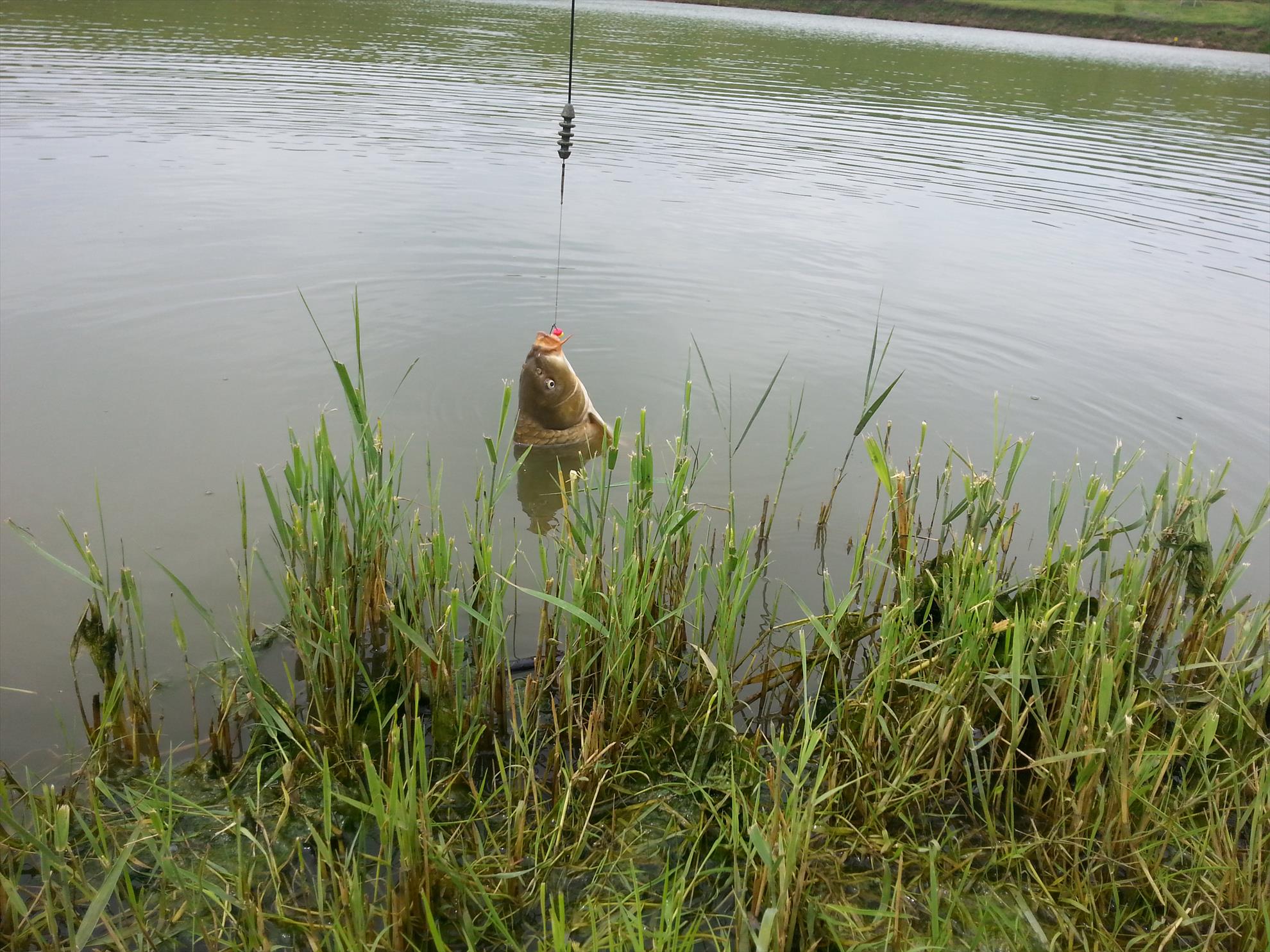 Sulimanu 3 - 4 iunie 2014 - 20140604104310.jpg